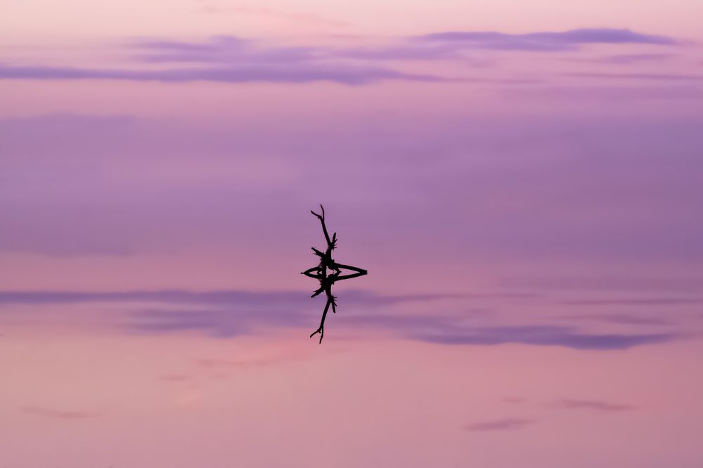 Photograph by Валентина Воронцова