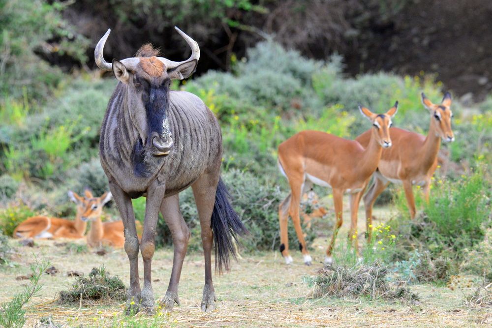 Фотография автора Anne Moginier