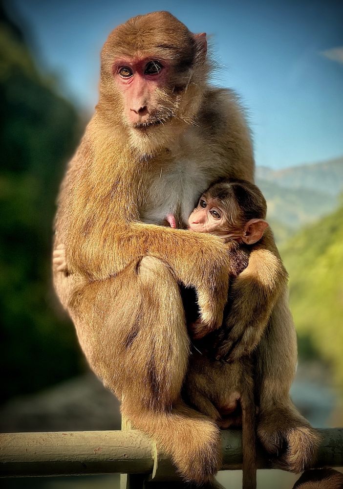 Photograph by the raaz photojourney