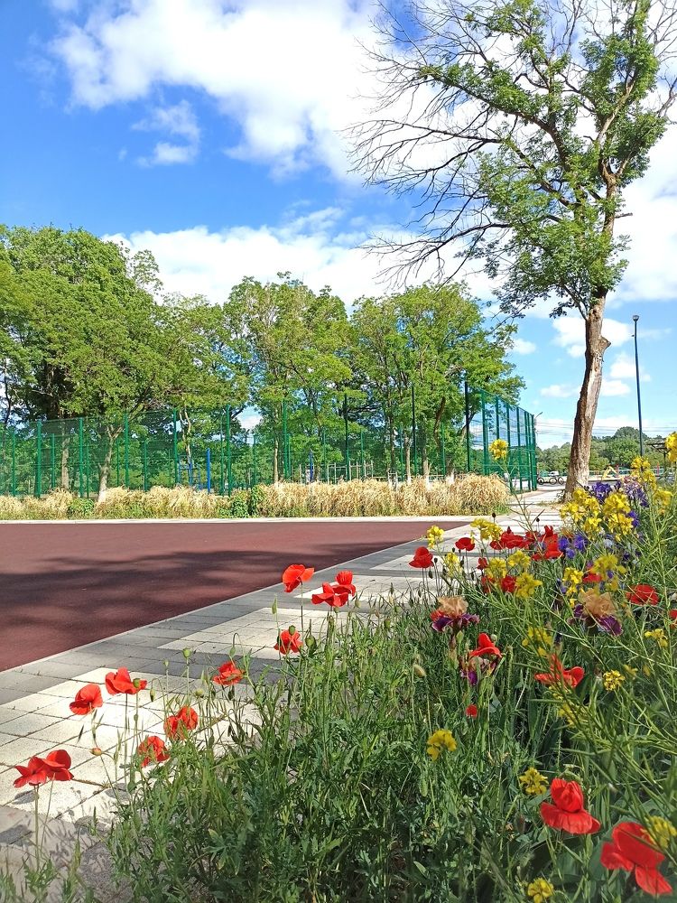 Photograph by Виталий Титов