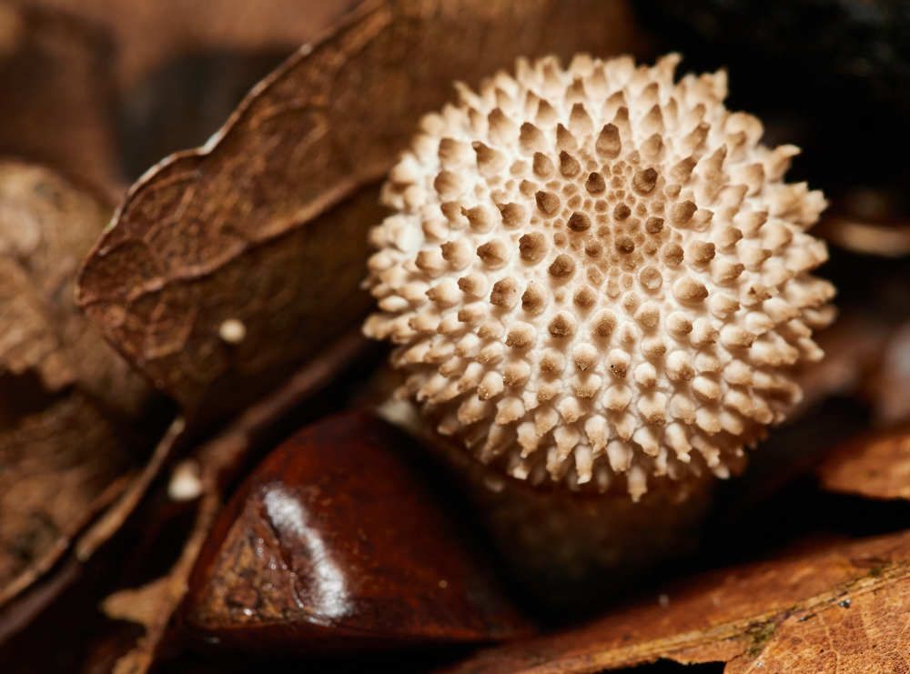 Фотография автора Ekaterina Palant