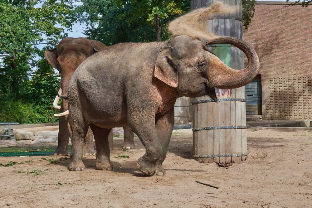 Фотография автора Ekaterina Palant