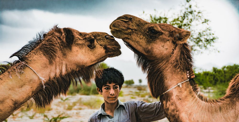 A Moment of Connection in the Desert