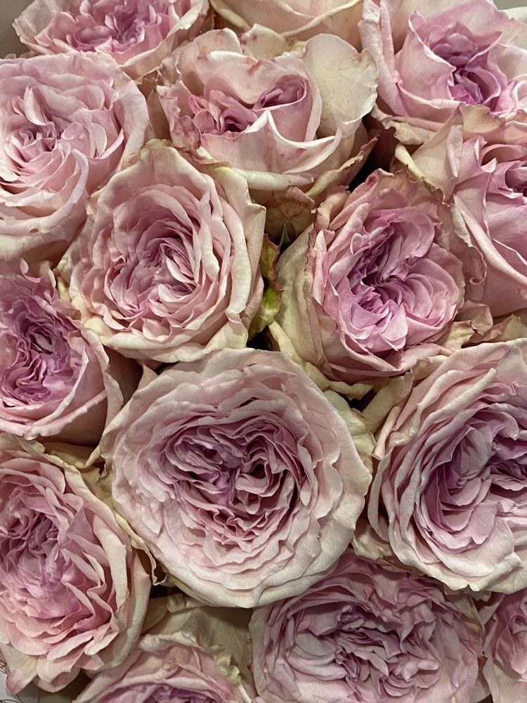 Photograph by Zhanna Kolesnikova