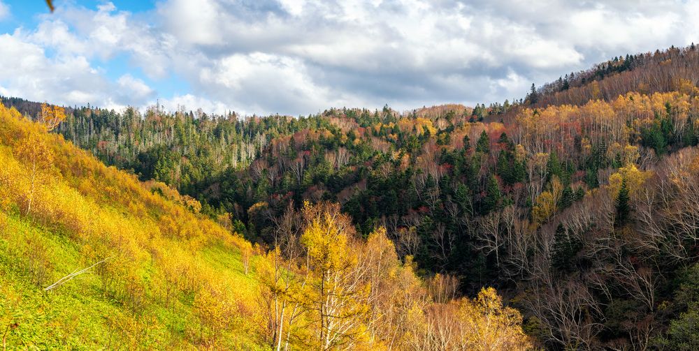 Photograph by Zemnuhov Sergey