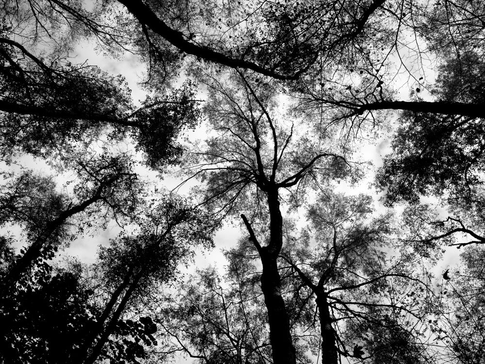 Фотография автора Боков Дмитрий