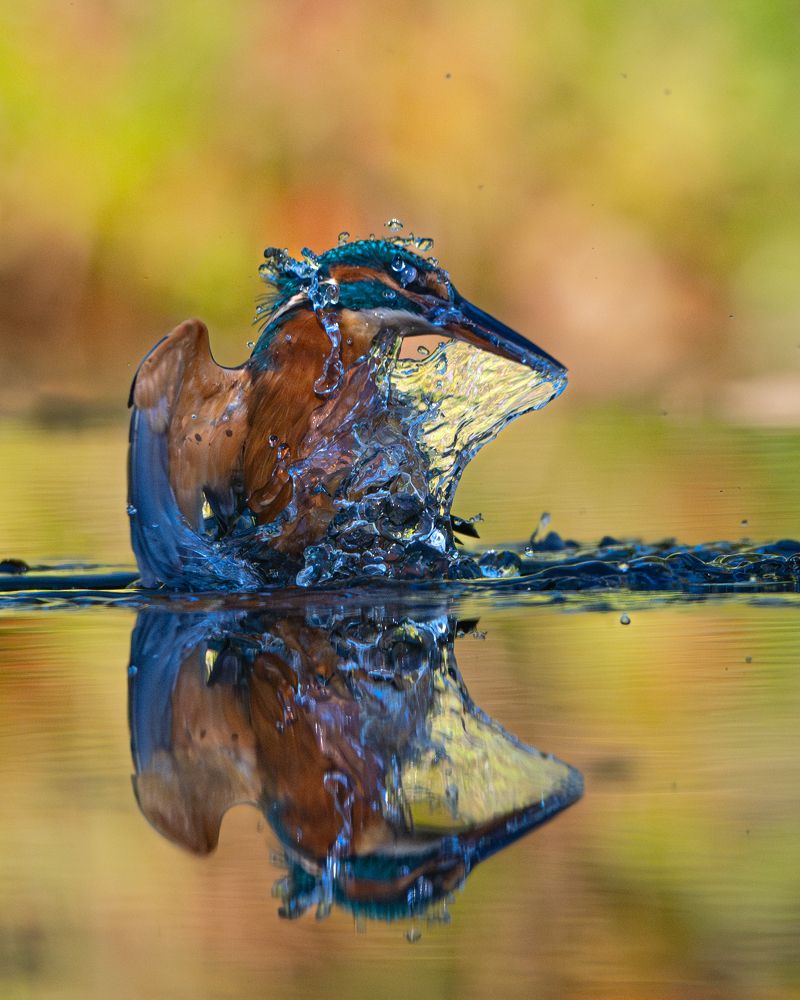 Photograph by nimalan subramaniam