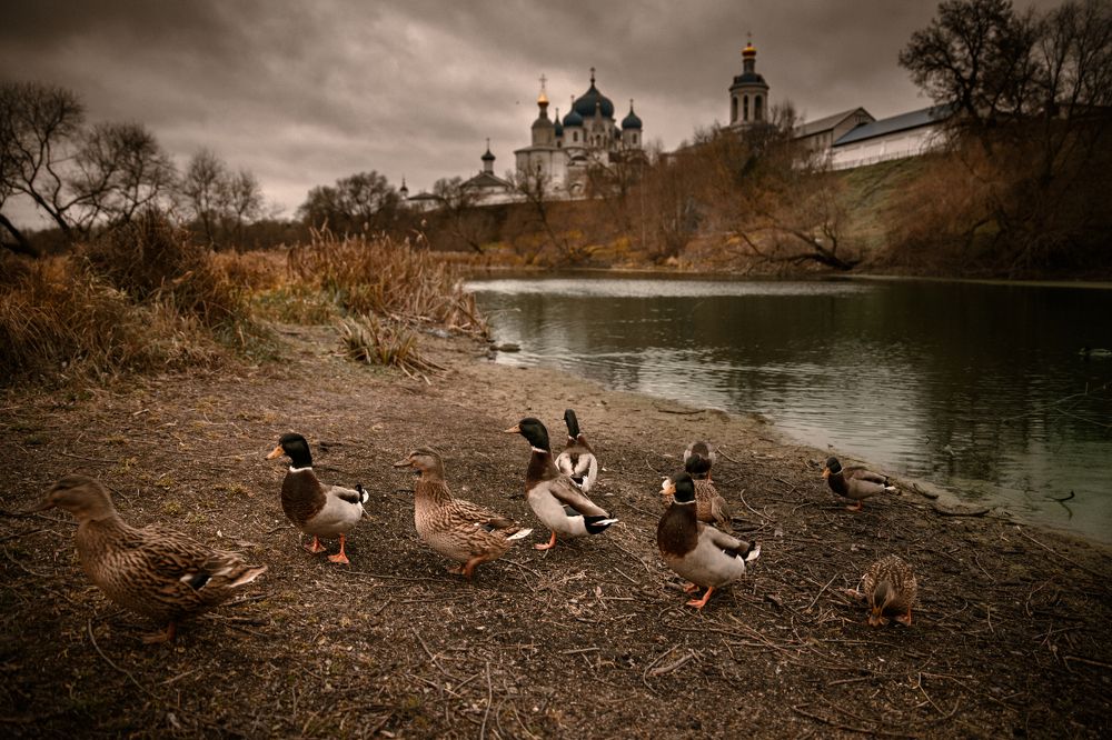 Photograph by Назим Дервиш