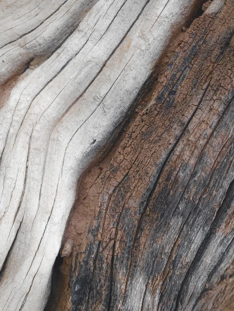 Photograph by Mahdi Rezaei