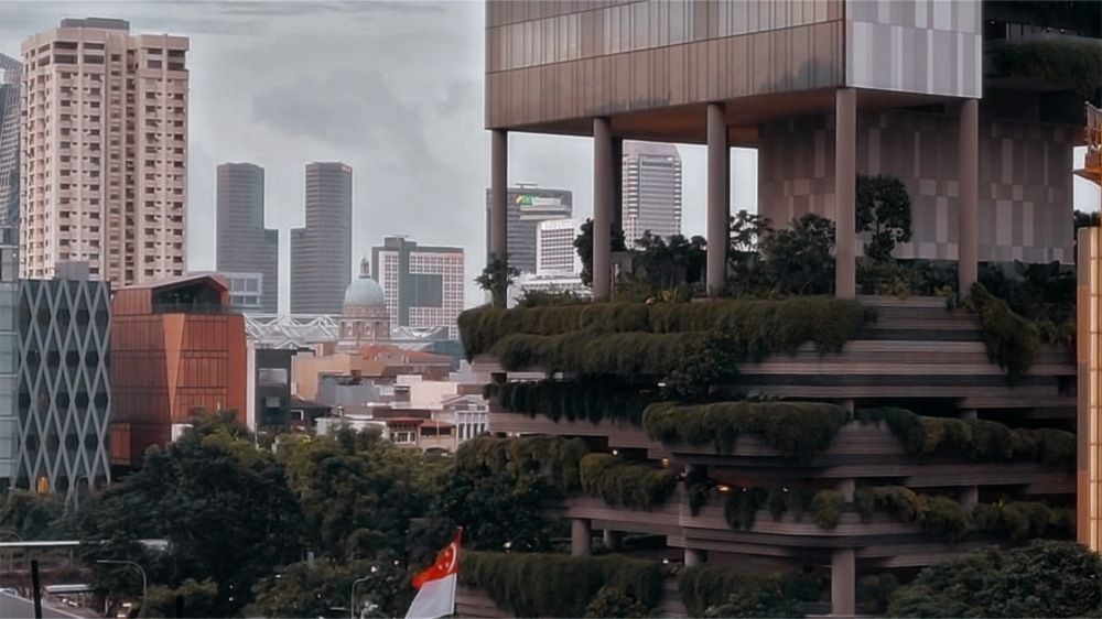 Photograph by Danaya Rönn