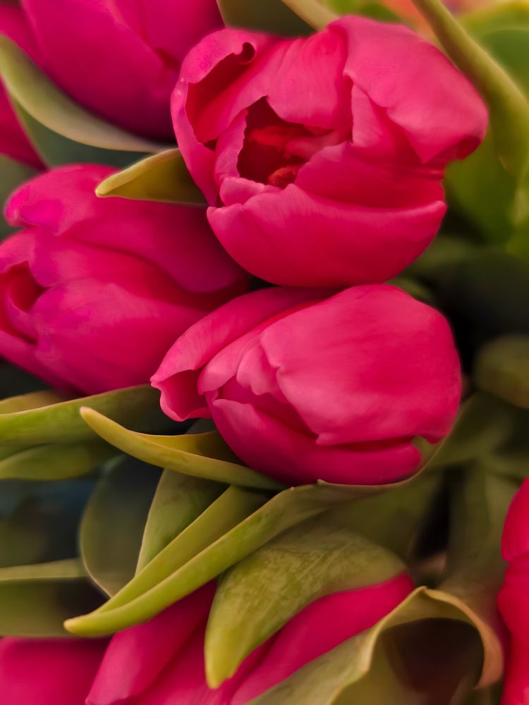 Photograph by Светлана Мишенина