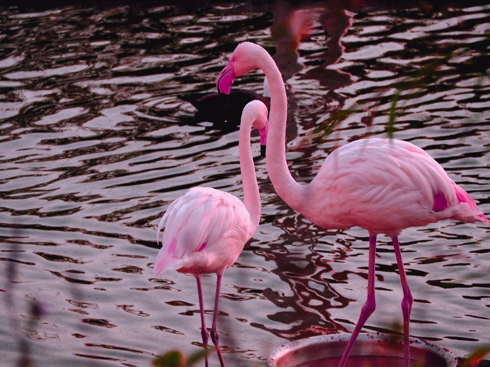 Photograph by Tatyana Markova