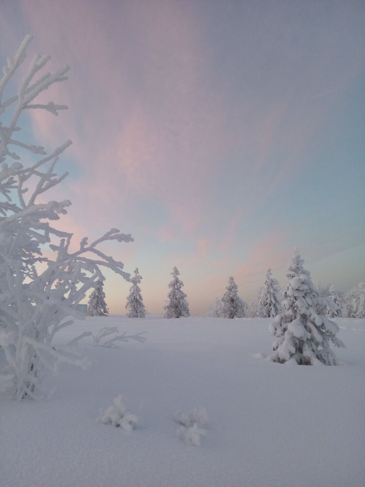 Photograph by Юлия