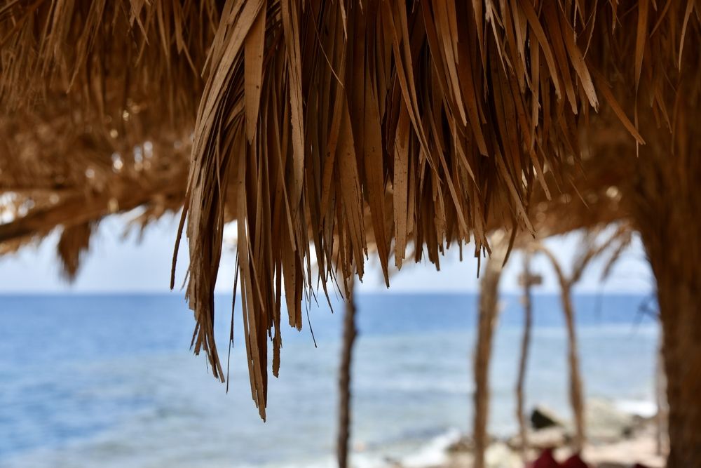 Photograph by Ольга Струкалина