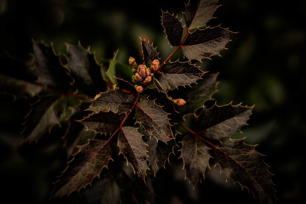 Photograph by Любовь Иванова