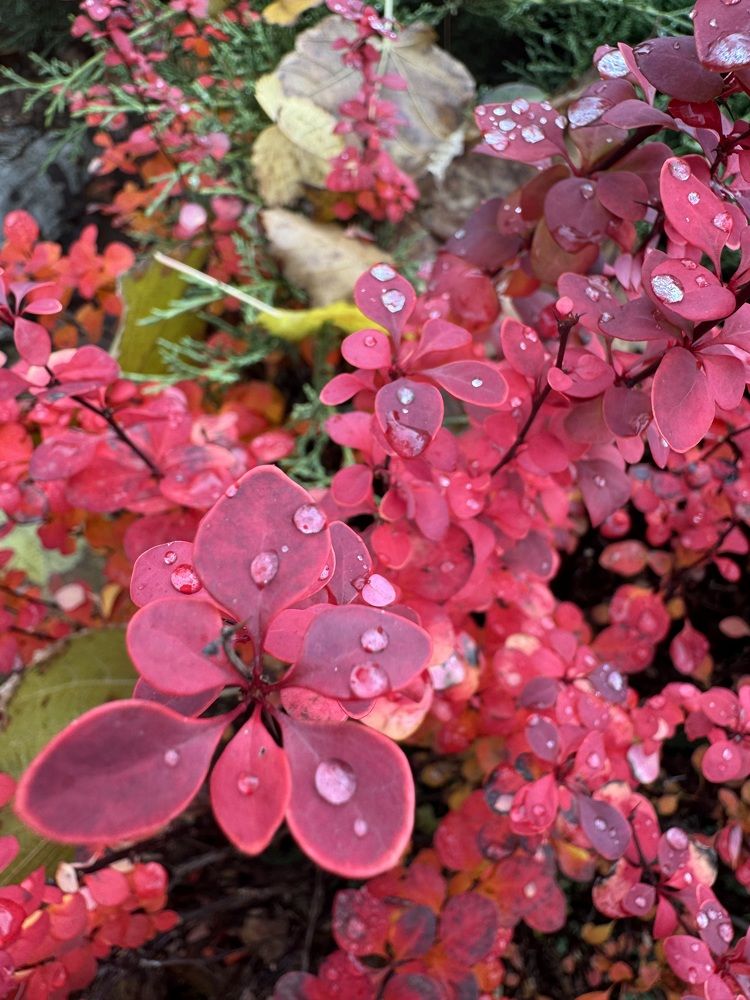 Photograph by Бойкова Наталия