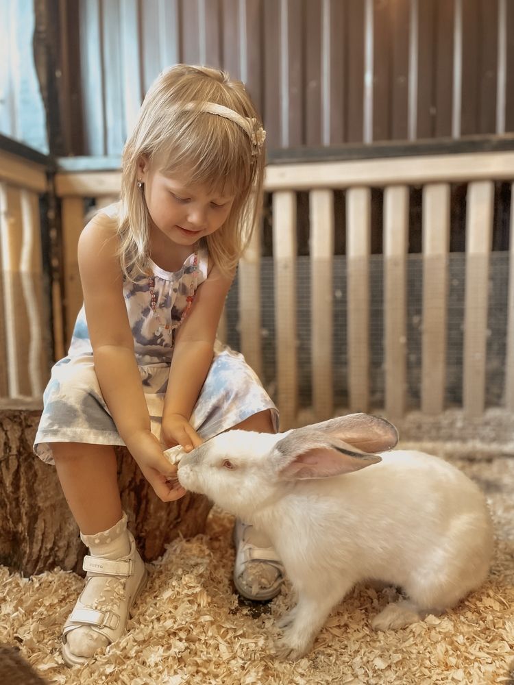 Photograph by Марина Фомичева