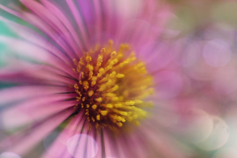 Photograph by Magic Helios