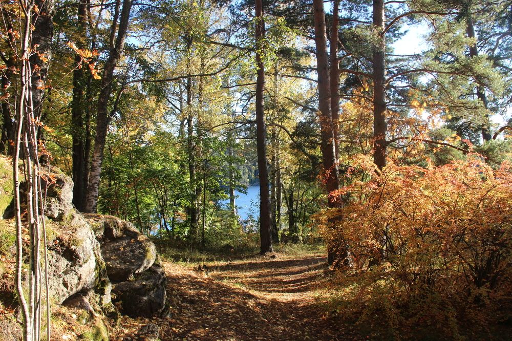 Photograph by Валентина