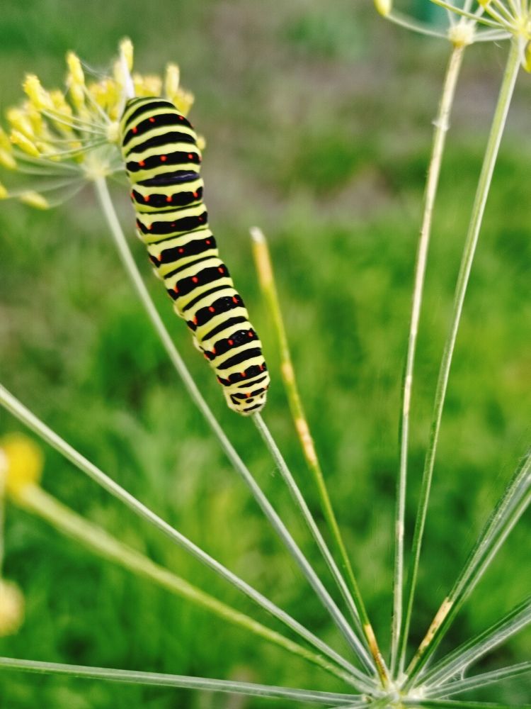 Photograph by Лариса Натальская