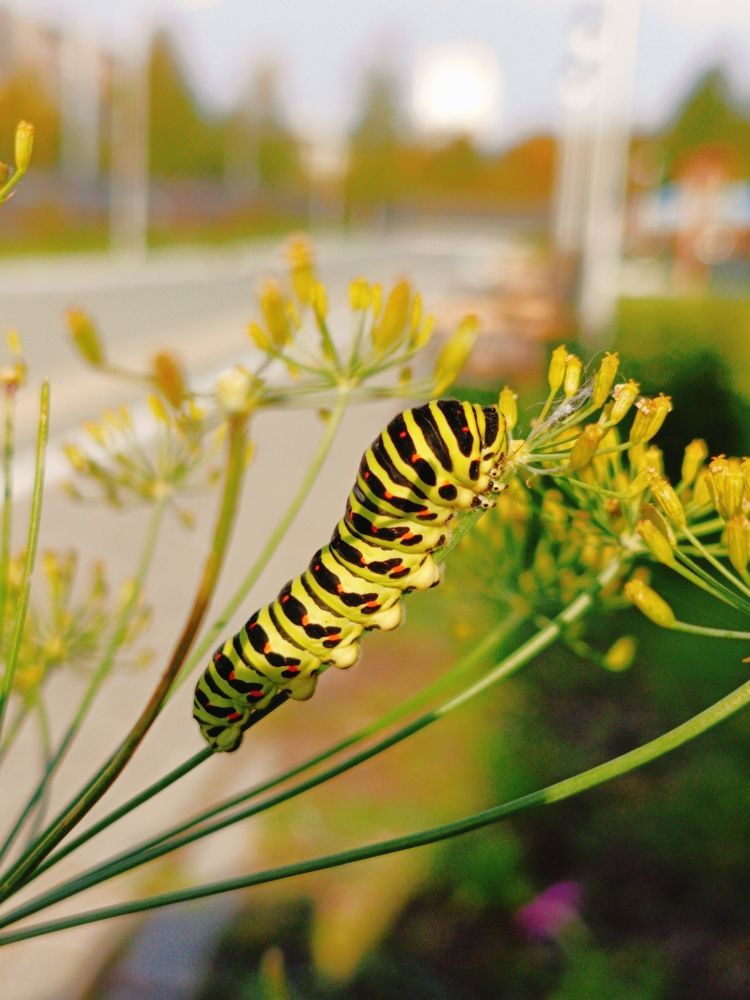 Photograph by Лариса Натальская