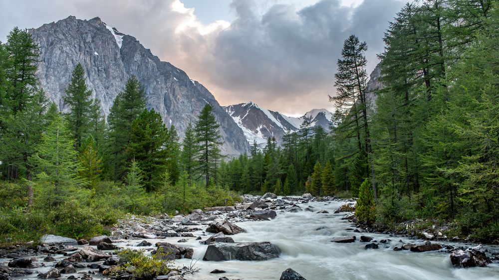 Photograph by Denis Khomenko