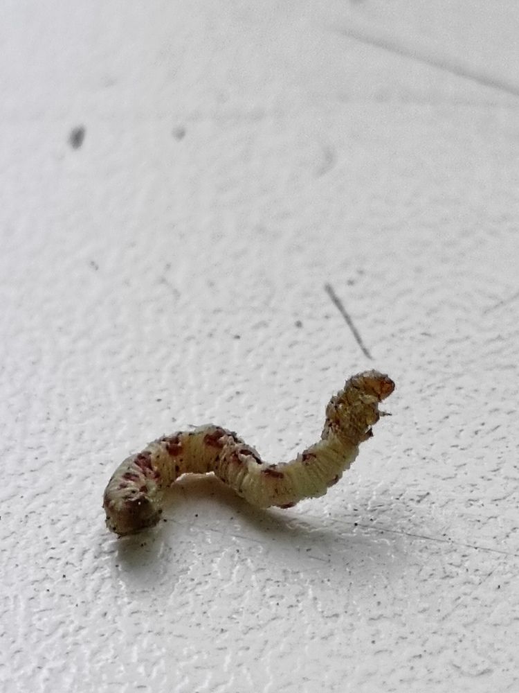 Photograph by Лариса Натальская