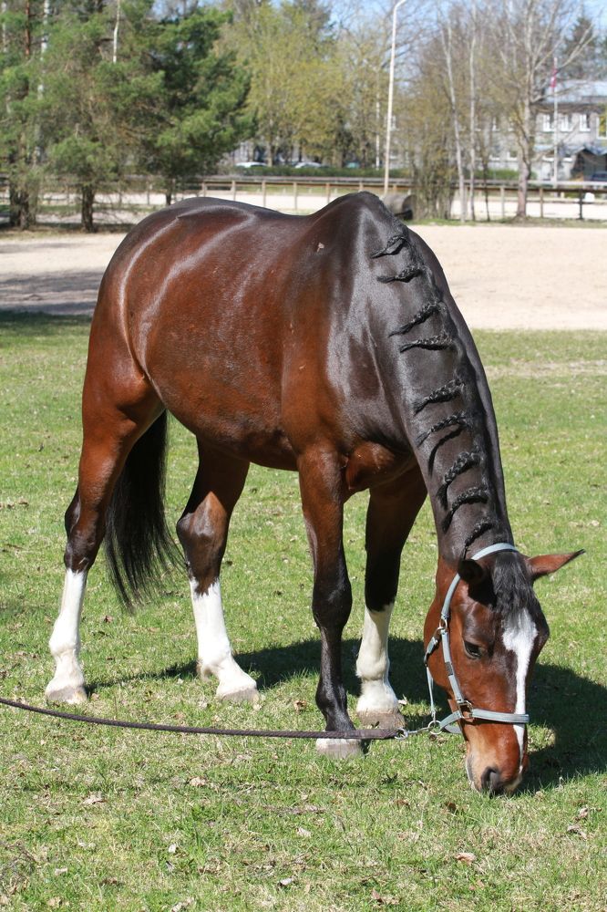 Photograph by Igors Rostikovs