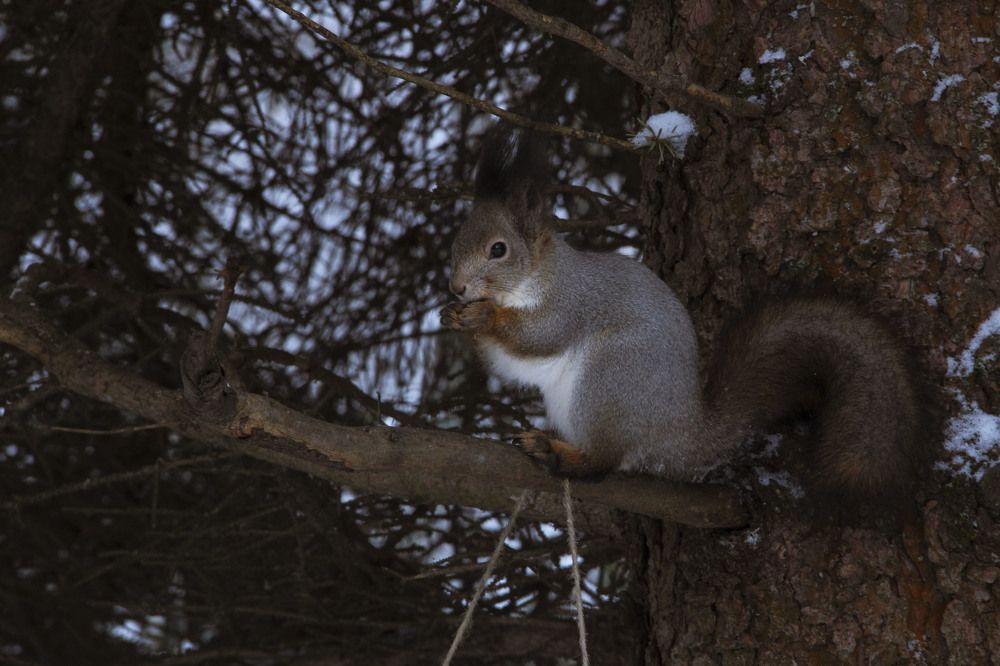 Photograph by Громова Мария
