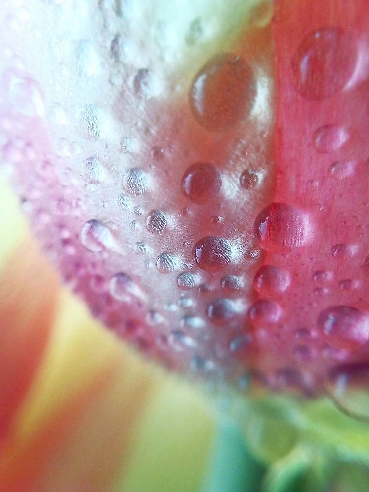 Фотография автора Екатерина Солохина