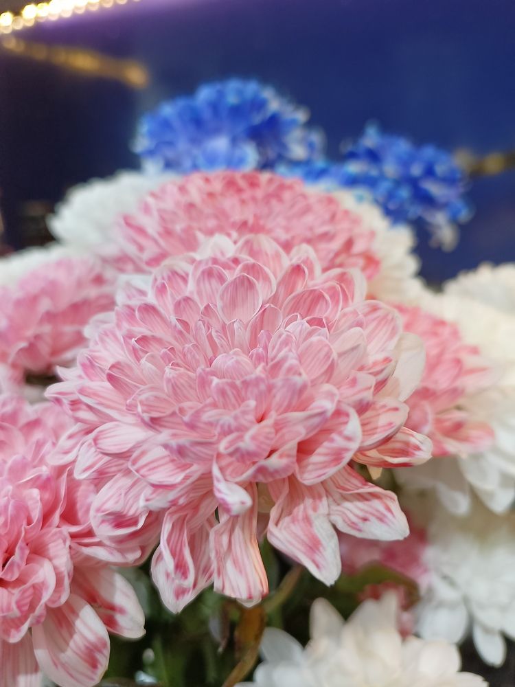 Photograph by Лариса Натальская