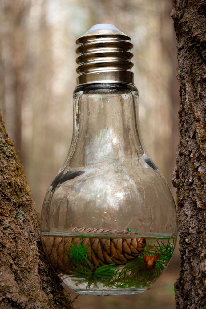 Photograph by Любовь Бусова