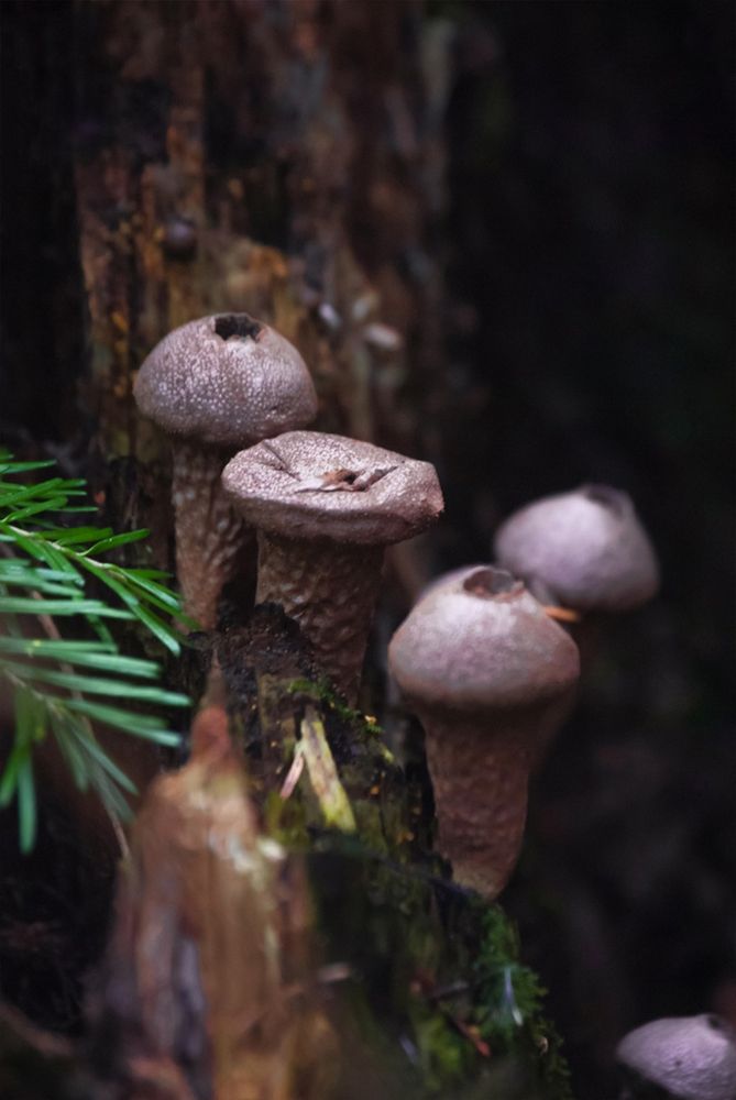 Photograph by Любовь Бусова