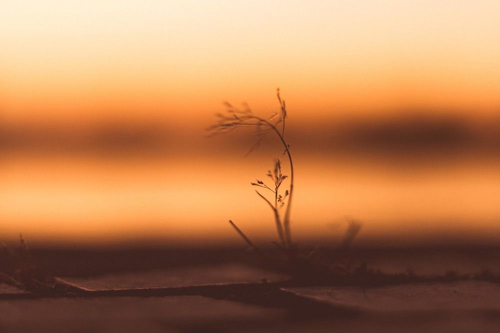 Photograph by Ди Си