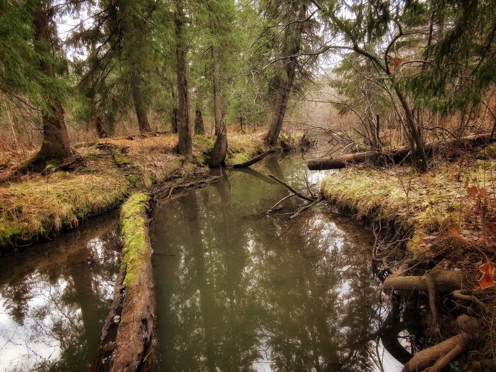 Вдоль русла Исы
