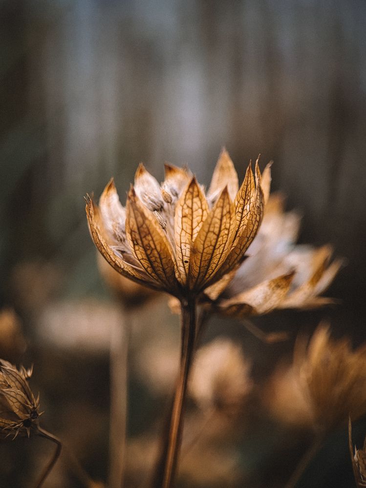 Photograph by Виктория Фирсова