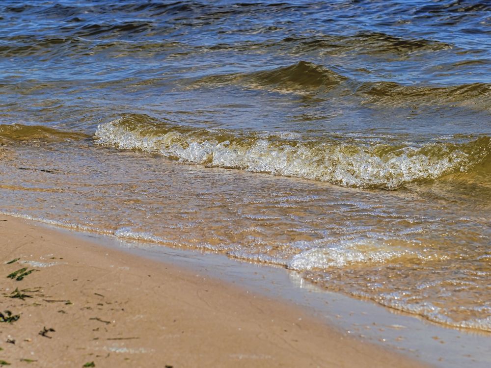 Приходящая волна