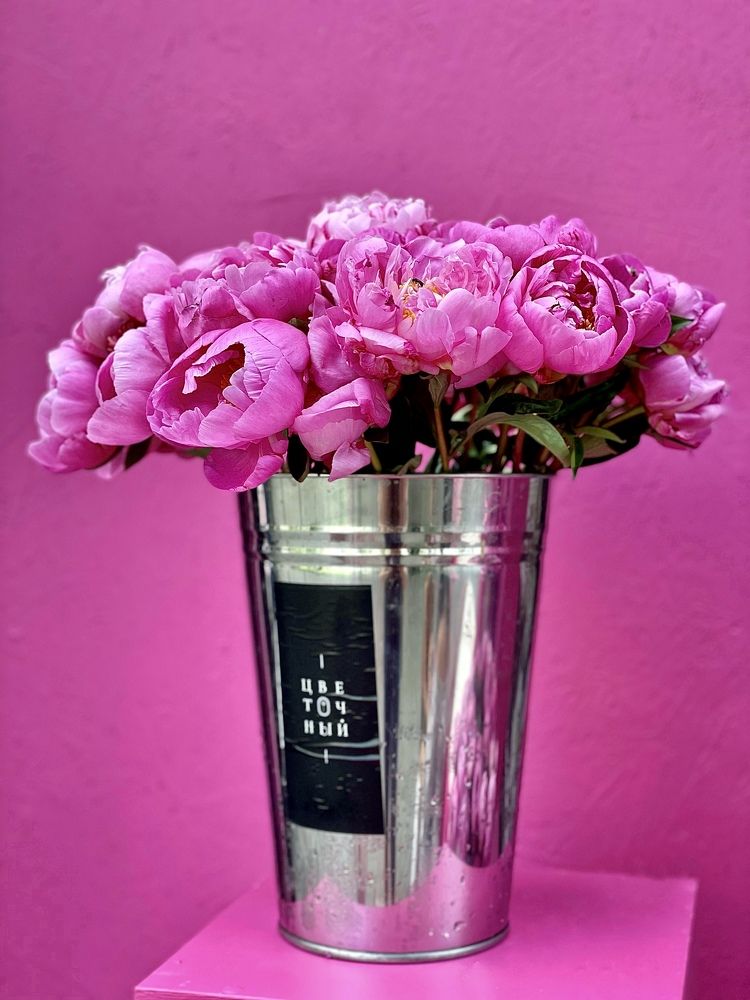 Фотография автора Nadezhda