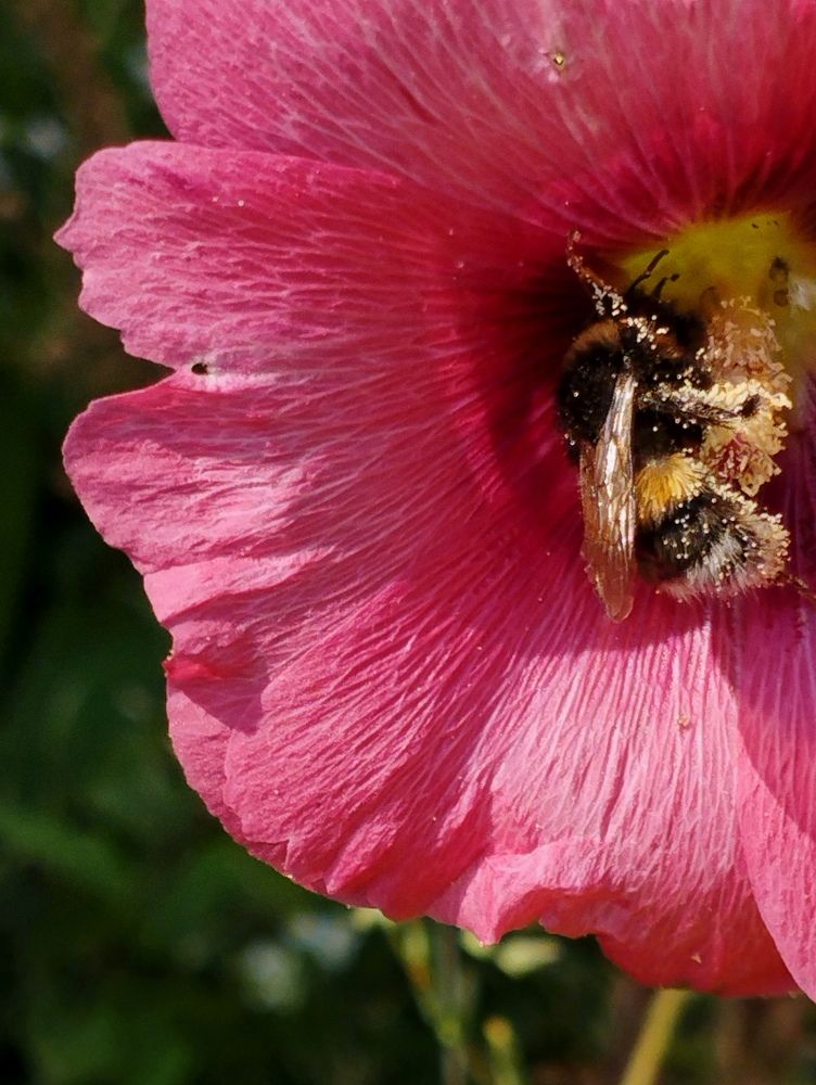 Photograph by Ия Дирко