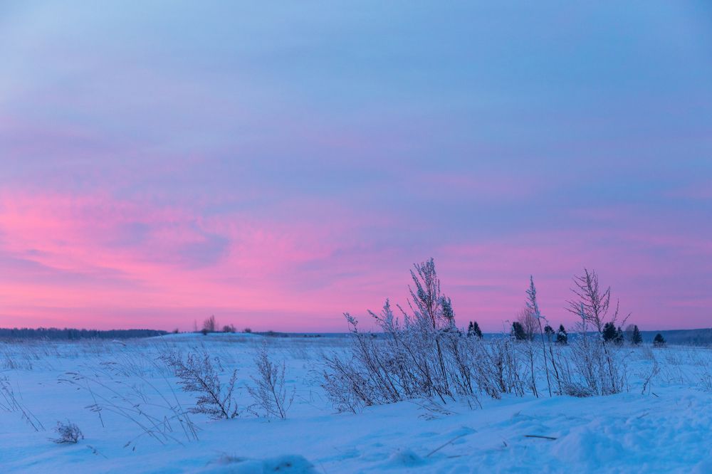 Photograph by Анастасия Григорян