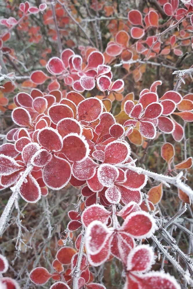 Фотография автора Алёна Михайлова