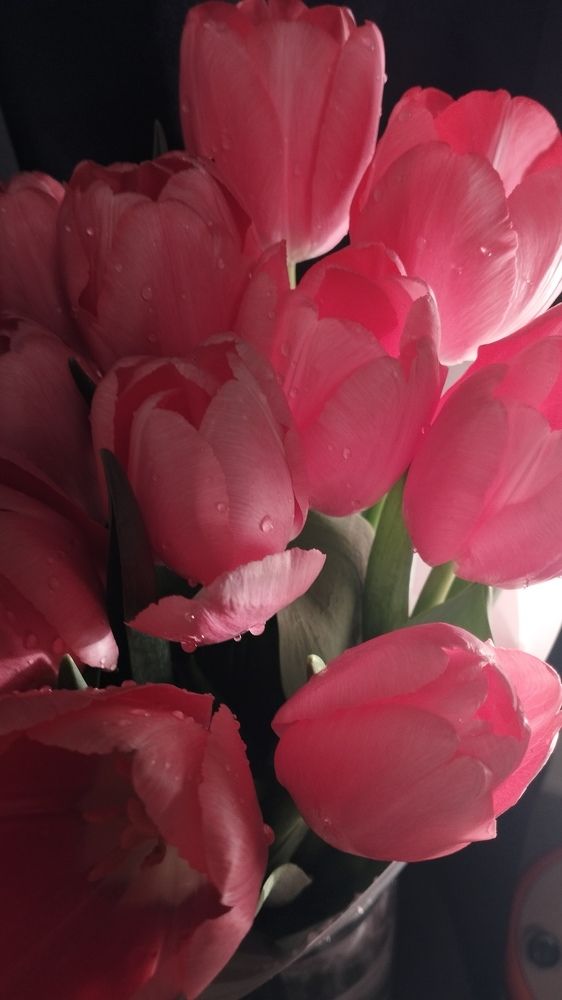 Photograph by Ия Дирко