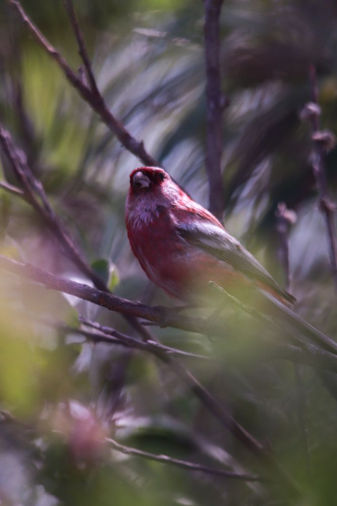 Photograph by Наталья Трифуз