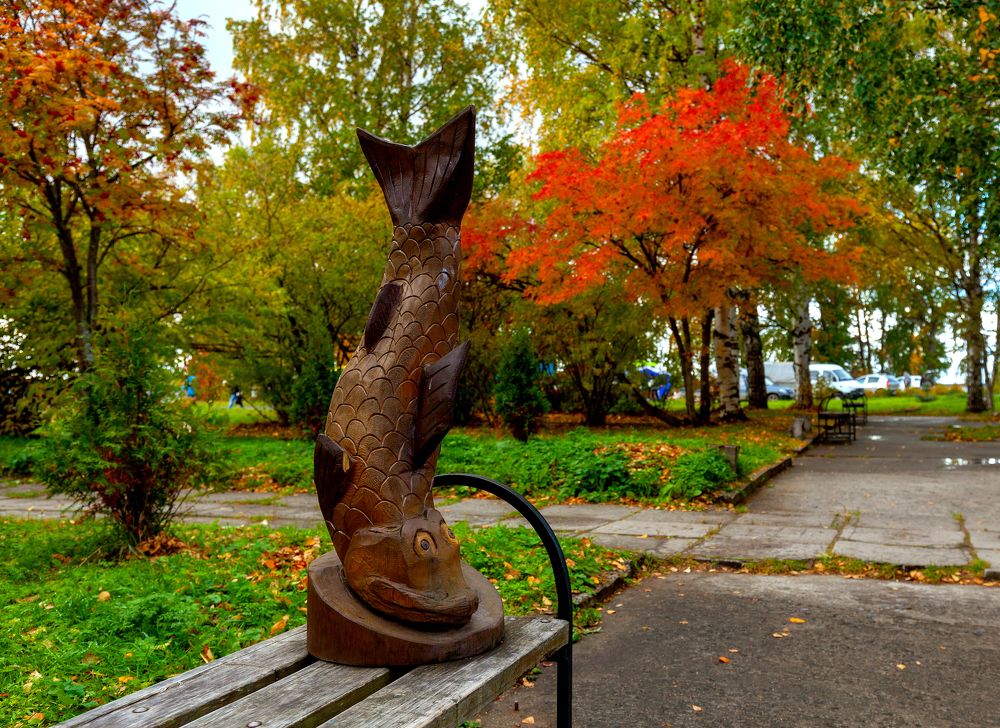 Золотая рыбка.