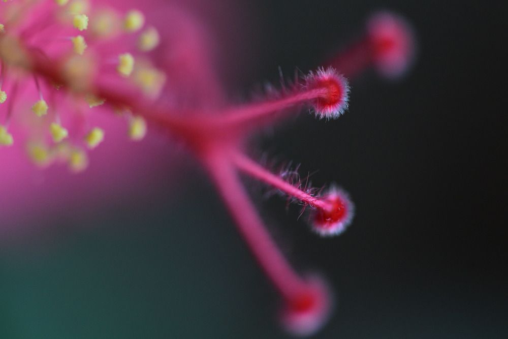 Photograph by Ксения Шилина