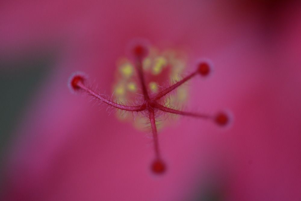 Photograph by Ксения Шилина