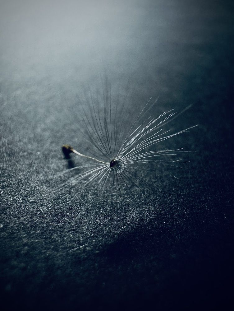 Фотография автора Евгения Елисеева