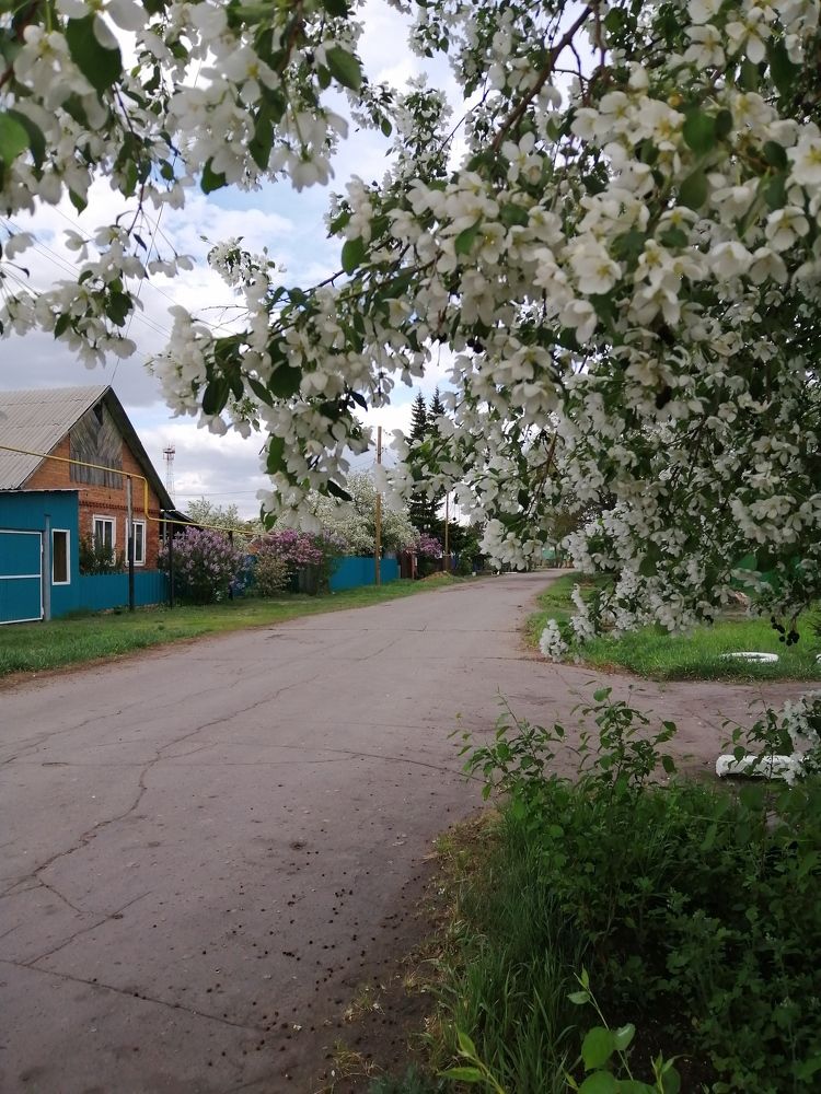 Photograph by Мария Усинова