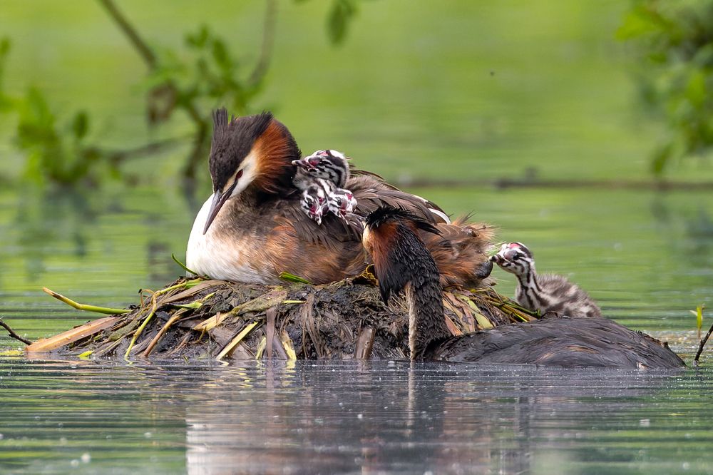 Photograph by Вера Машина