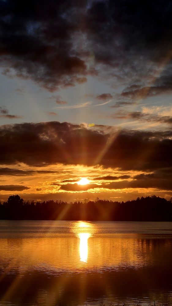 Photograph by Егор Жук